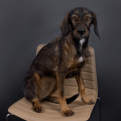 Riley (Feel-Good-Managerin) - Autohaus Heisel GmbH